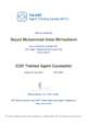 MUIC ICEF Certificate